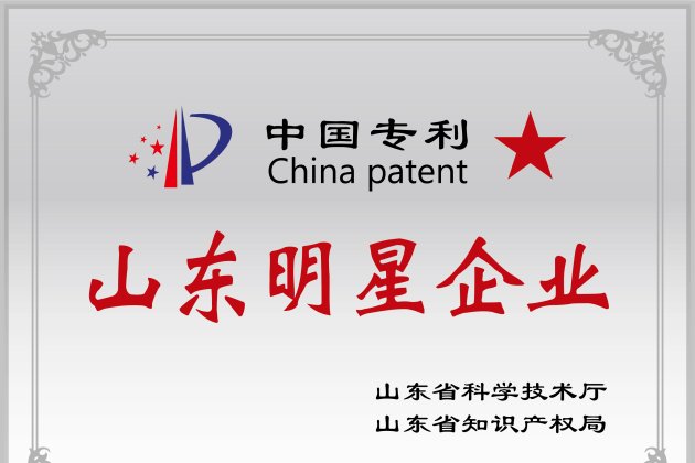 中國專利“山東明星企業”
